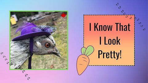 Easter Bonnets 2025