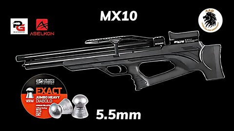 Aselkon MX 10 in 5 5mm Test at 55 yards with JSB 18.13gn pellets