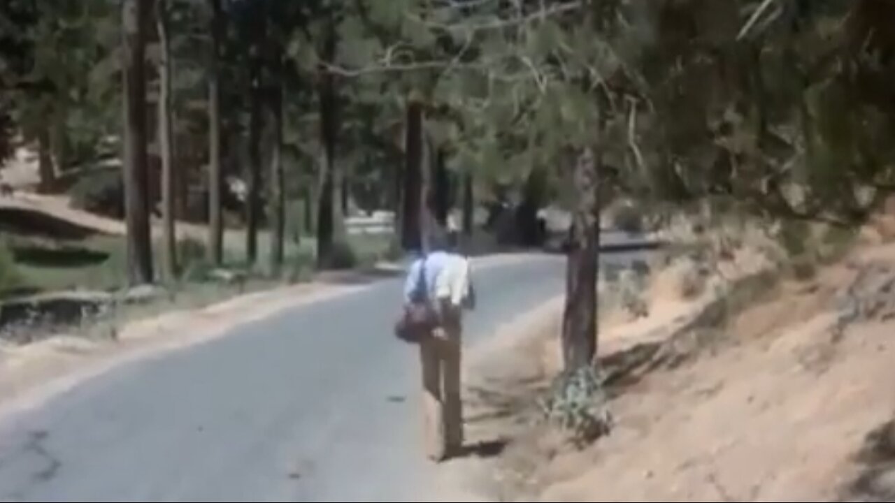 The natural order of relationships when you wake up and go alone...