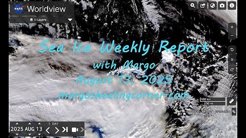 Sea Ice Weekly Report with Margo (Aug. 13, 2025)