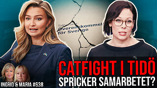 Catfight i Tidö - spricker samarbetet?