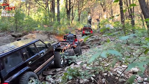 "RC Car Jungle Adventure | Narrow Trail Off-Road Challenge!"
