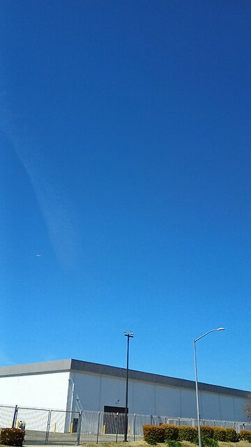 drac democrats buzzing human Americans