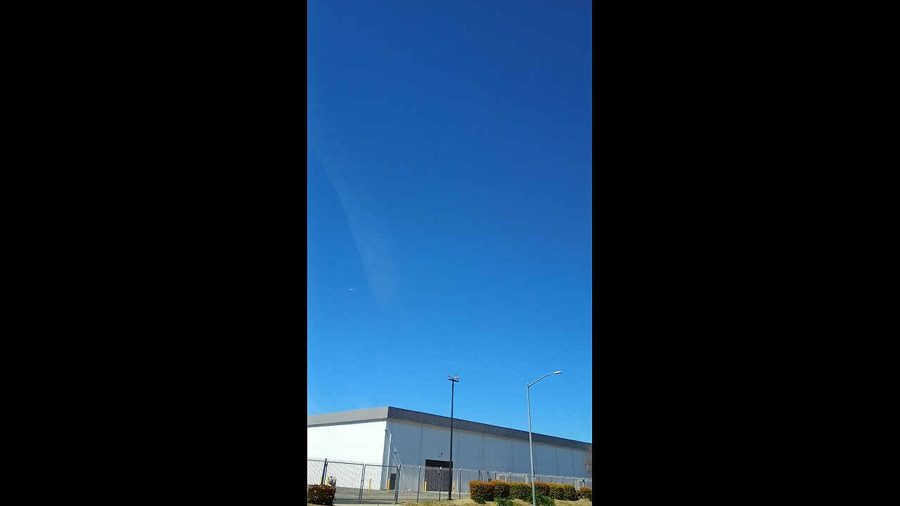 drac democrats buzzing human Americans