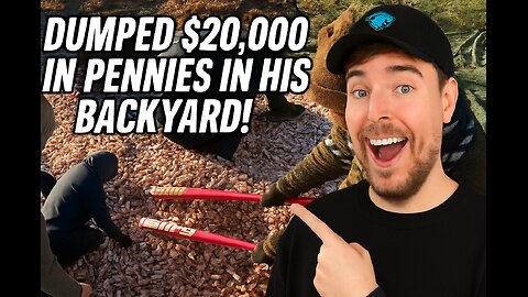 I've put Millions of Pennies in my Friends Backyard