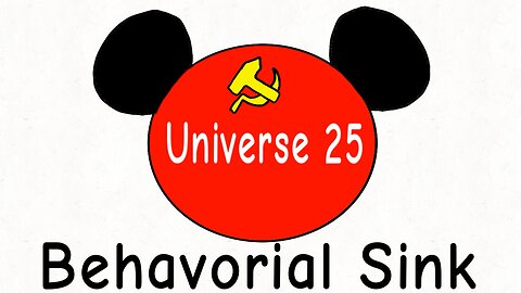 Universe 25 and Behavioral Sink