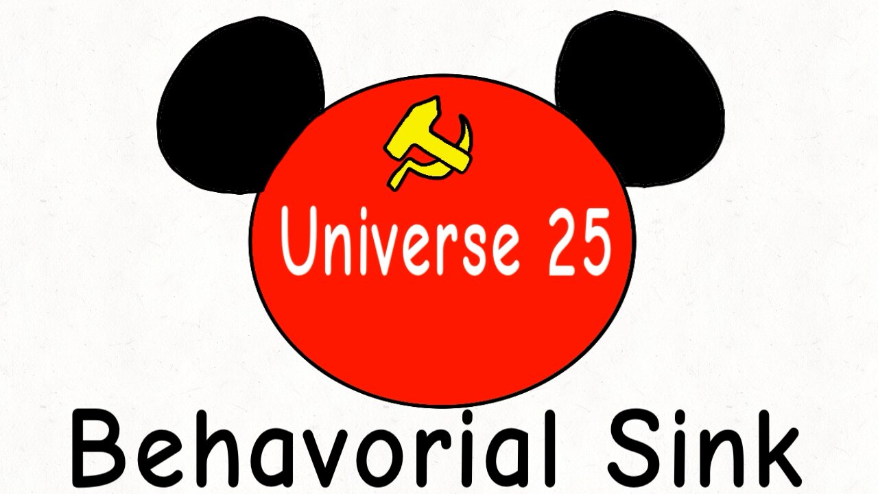 Universe 25 and Behavioral Sink