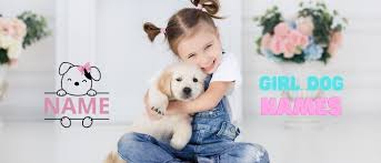 A playful and sassy name for your furry friend.