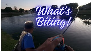 What's biting.... #mobile #fishing #livestream