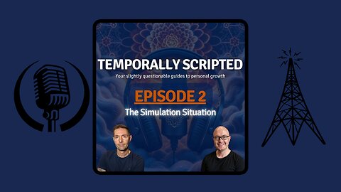 The Simulation Situation