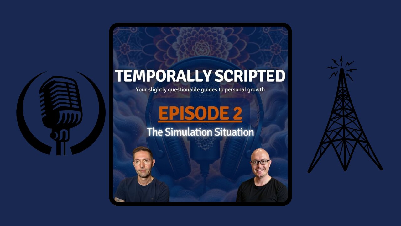 The Simulation Situation