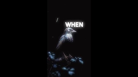 A bird is a live