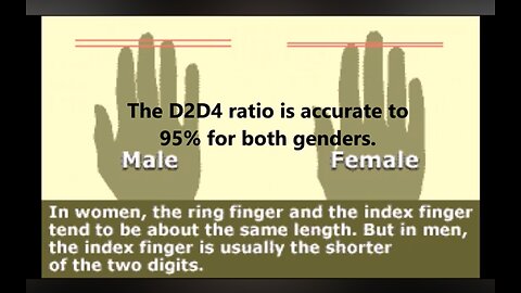 EGI by Dylan Peterson https://t.me/RobertWhiteside