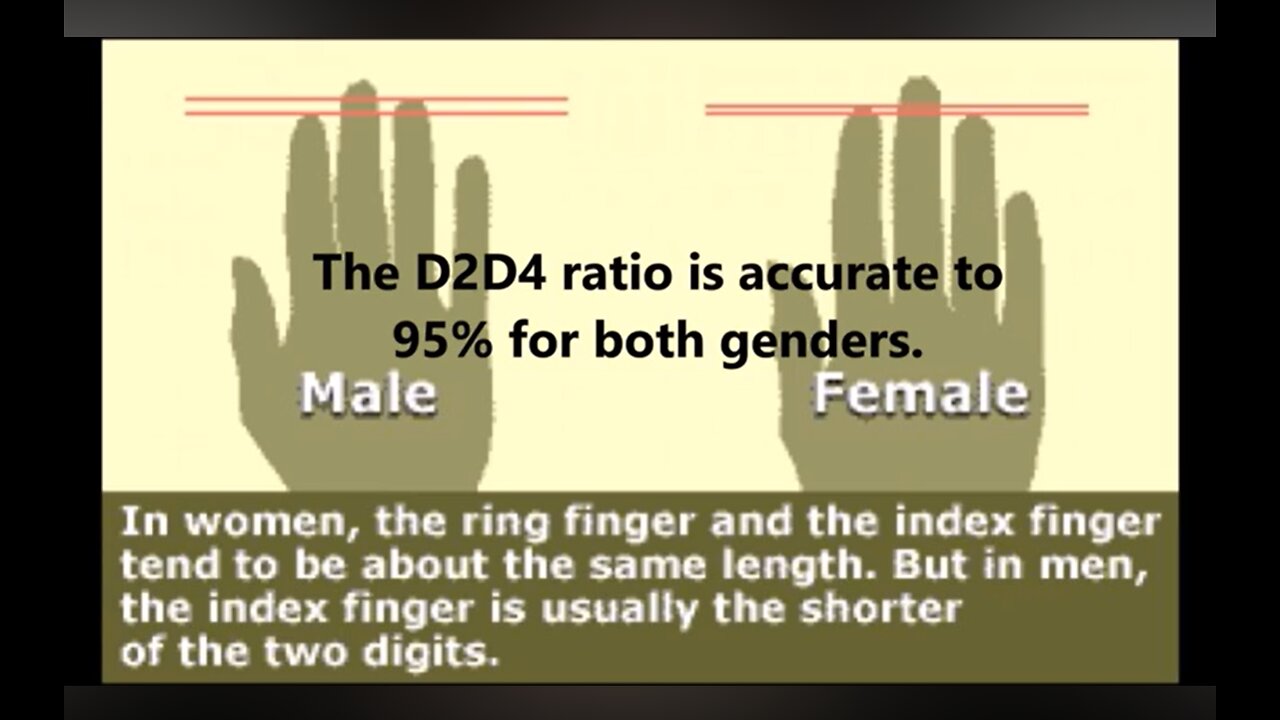 EGI by Dylan Peterson https://t.me/RobertWhiteside