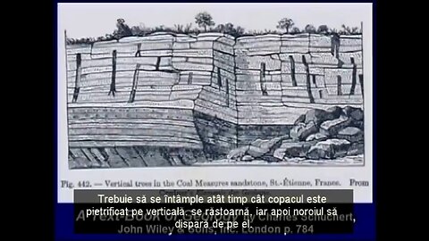 Dr Hovind Sem6 — "Teoria Hovind" — RO Română