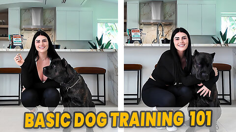 I Tried Training My Dog Like the Pros — Here’s What Actually Worked 🐶✨