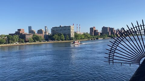 Walking Manhattan: Carl Schurz Park & East River Esplanade