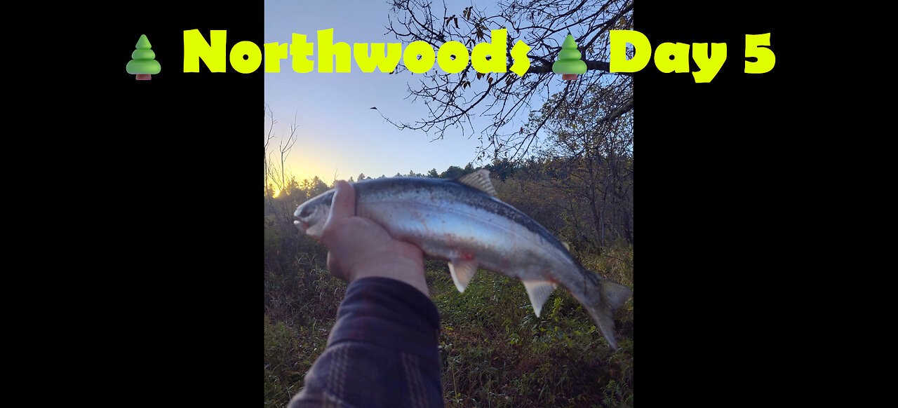 Northwoods - Day 5: A Couple Steelhead