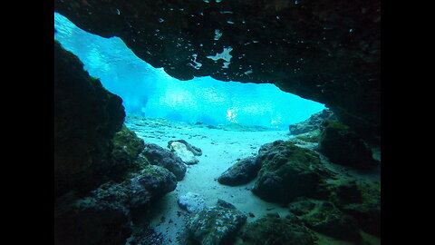 Epic Florida Cave & Spring Diving Montage | Florida Adventure Diving