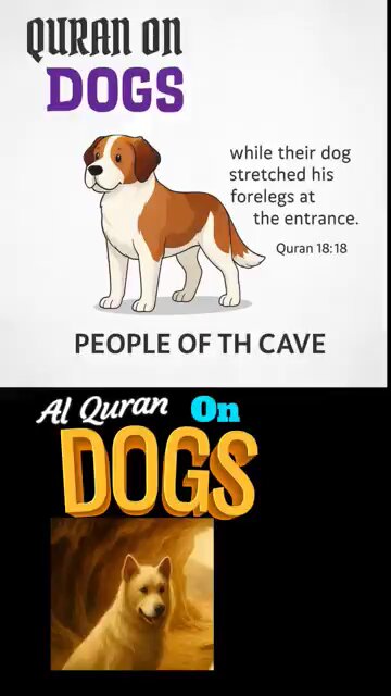Al Quran On DOGS 🐕 #truthseekers #ponder