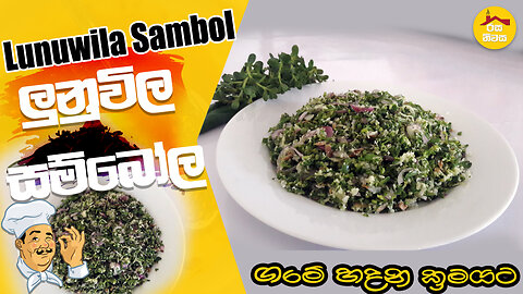 Bacopa monnieri - brahmi plant - Waterhyssop plant Lunuwila sambol Village style by Rasa Niwasa