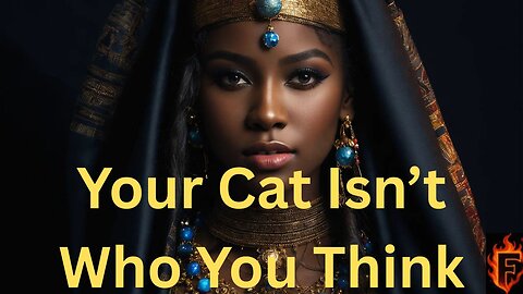 How Cats Protect You During Spiritual Awakening (You Just Didn't Know)