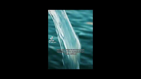 Find beauty in the little things 🌿💫 #asmr #aesthetic #relax #vibes #satisfying #viral #reels