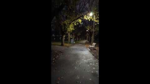 Darling gardens at dusk