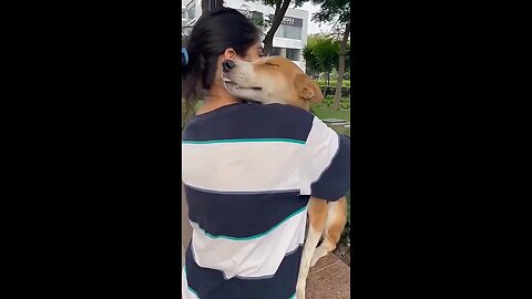 Stray dog's reaction to being hugged..🐕🐾😊❤️
