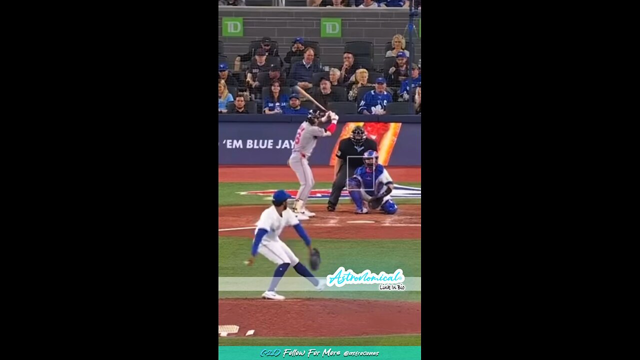 MLB Crazy Catch!