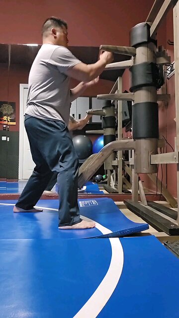 WTD Wooden Dummy Combination 2