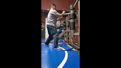 WTD Wooden Dummy Combination 2