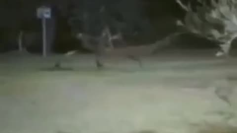 😱🤫 WTF Did They Capture? Shocking Paranormal Activity | TheHauntingHour