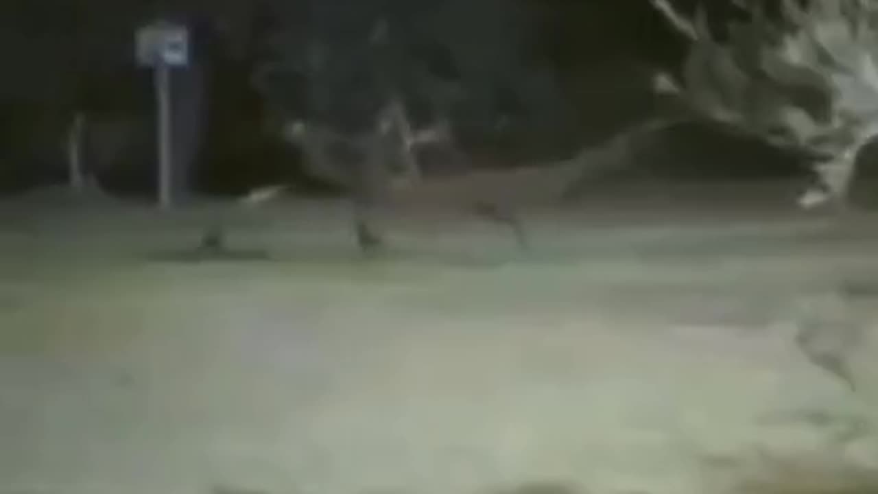 😱🤫 WTF Did They Capture? Shocking Paranormal Activity | TheHauntingHour