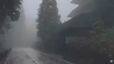 Rain Sounds For Sleeping - 99% Instantly Fall Asleep With Rain And Thunder Sound At Night