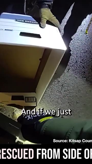 Owl Rescued from Side of Road by Police