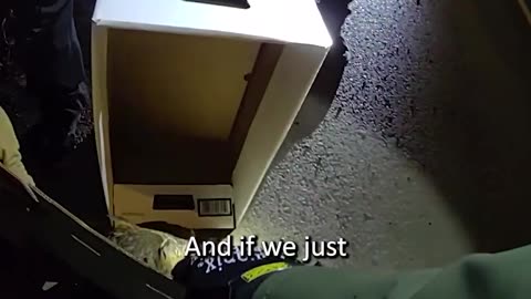 Owl Rescued from Side of Road by Police