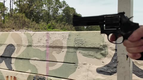Customer Sent-In: Smith & Wesson 586-8 Test Fire