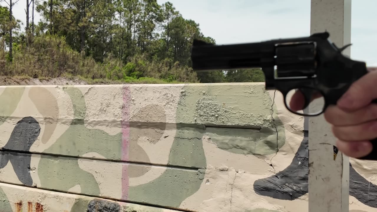 Customer Sent-In: Smith & Wesson 586-8 Test Fire