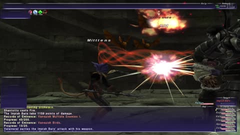 Taru Summoners - Final Fantasy XI Ep 13