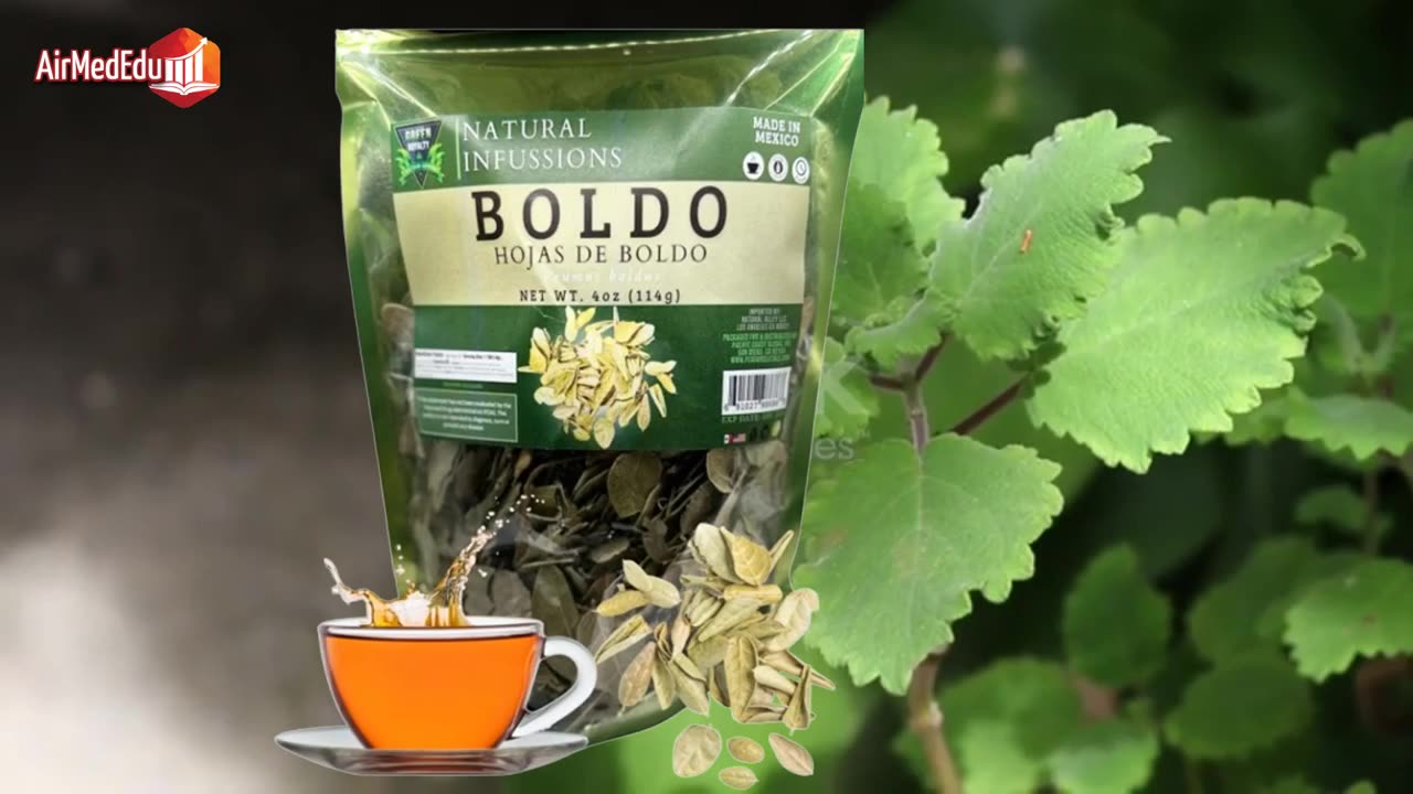 Efecto del Boldo en Organos Especificos