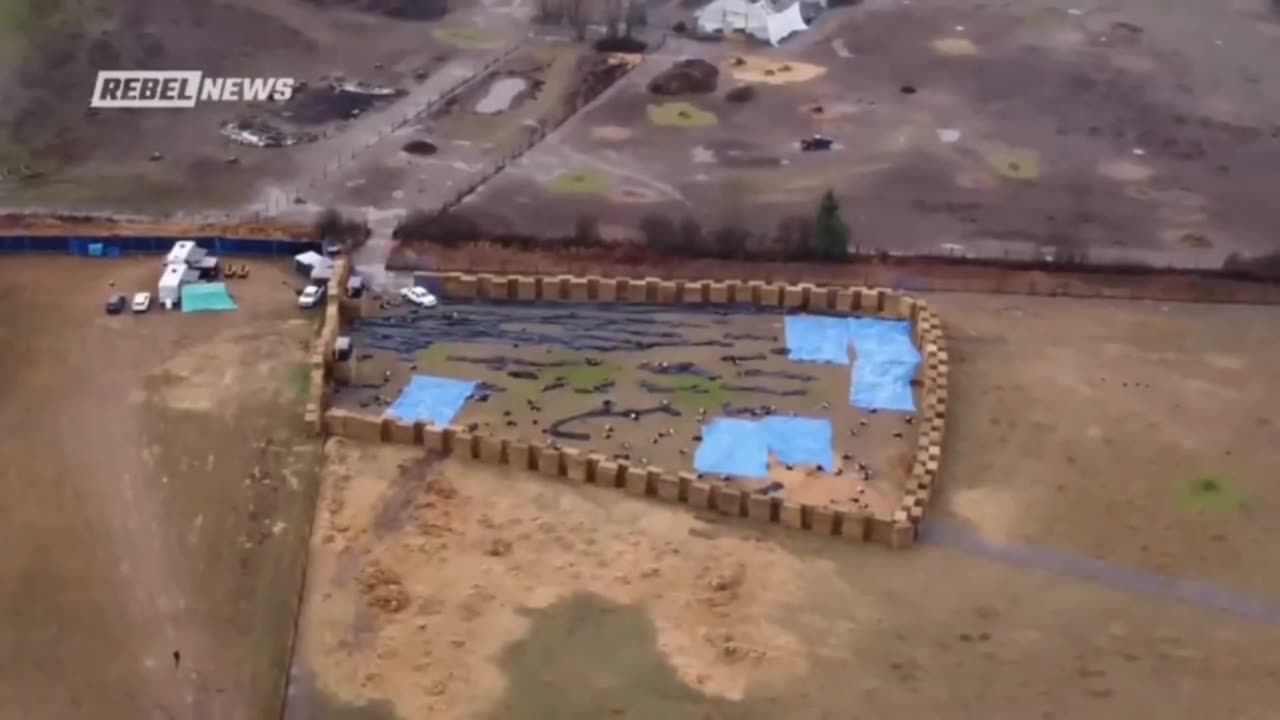 The Good News Network 4 🐸WeekendWarrior17