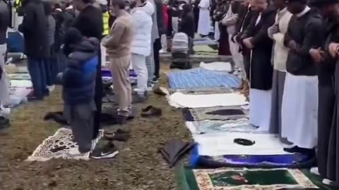 The UK Seems Lovely