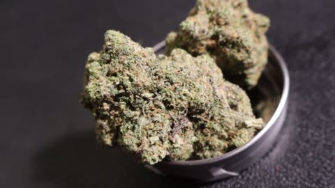 Purple alien cultivar review old youtube