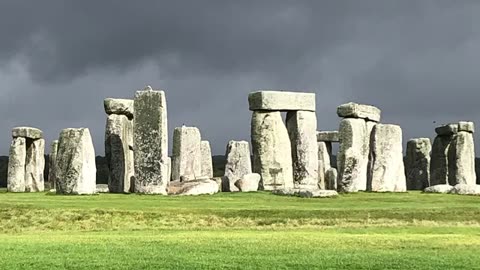 Did cows help to build Stonehenge?