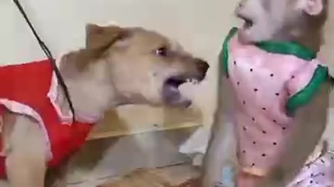 Hot moment