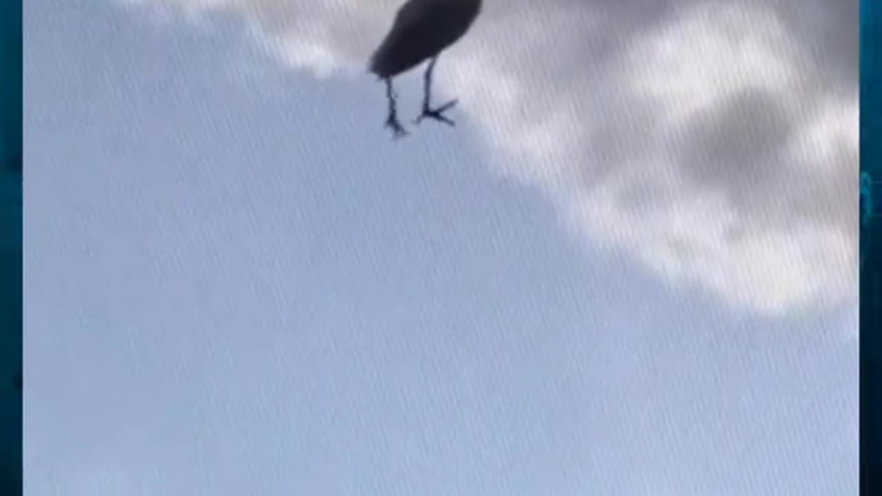 😱👻 You Won't Believe What They Caught on Camera! Ghost | TheHauntingHour