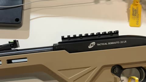 Rifle tactical .22lr