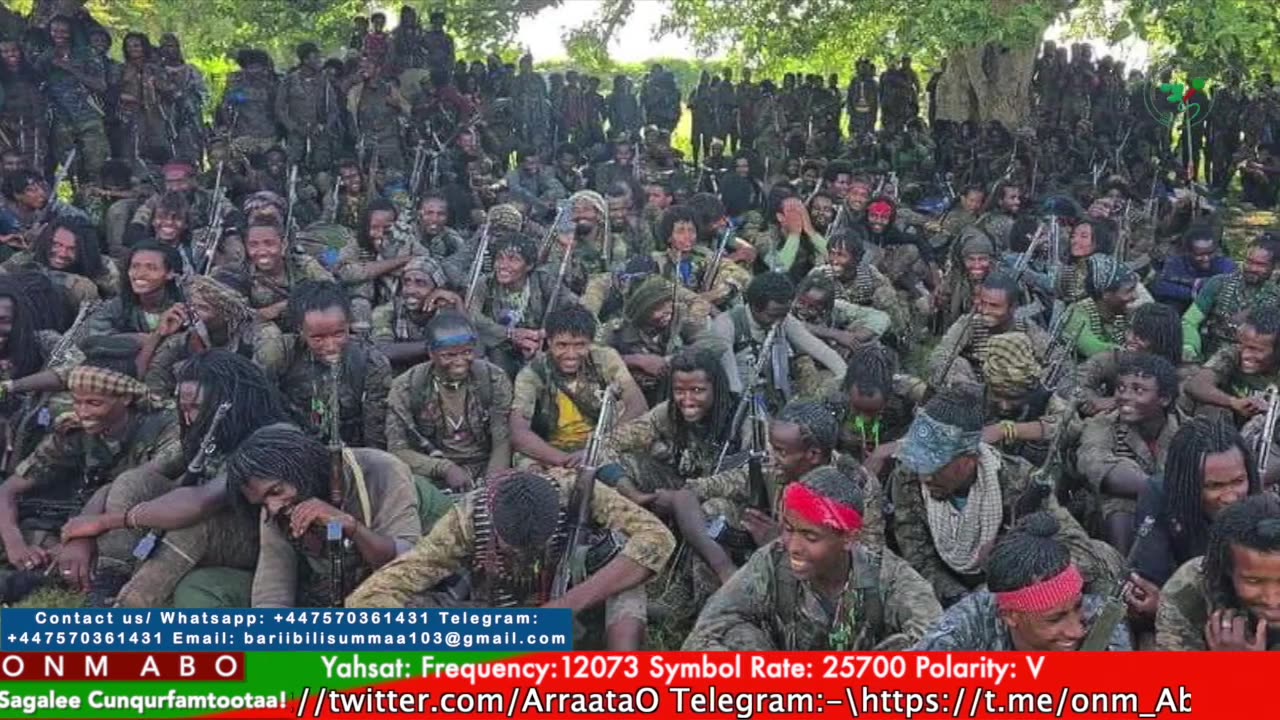 Gabaasa Tarkaanfii ONM-ABO Hagayya 1-2025 itti dhiyaadhaa!