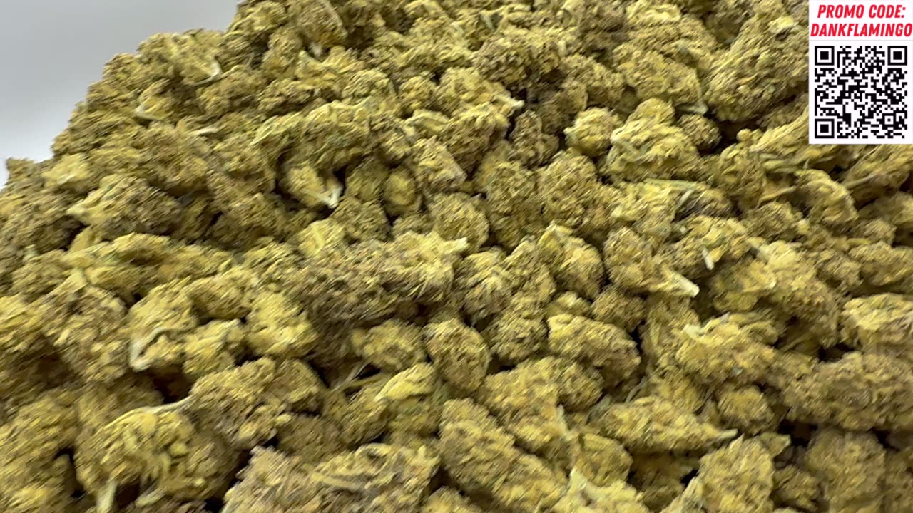 2 FOR 1 LBS THCA SMALL BUDS Review! Dankin with the Flamingos!!